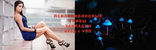 МДПВ Алзамай