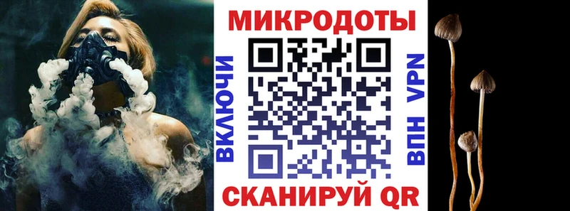 Галлюциногенные грибы Psilocybine cubensis  дарнет шоп  Салехард 